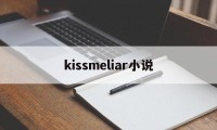 kissmeliar小说(kiss me liar有小说吗)